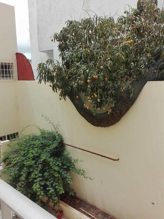 Simabo'S Backpackers' Hostel มินเดโล ภายนอก รูปภาพ